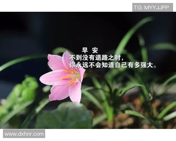 足球明星的励志语录与人生哲学启示你我前行的力量 足球明星的励志语录与人生哲学启示你我前行的力量