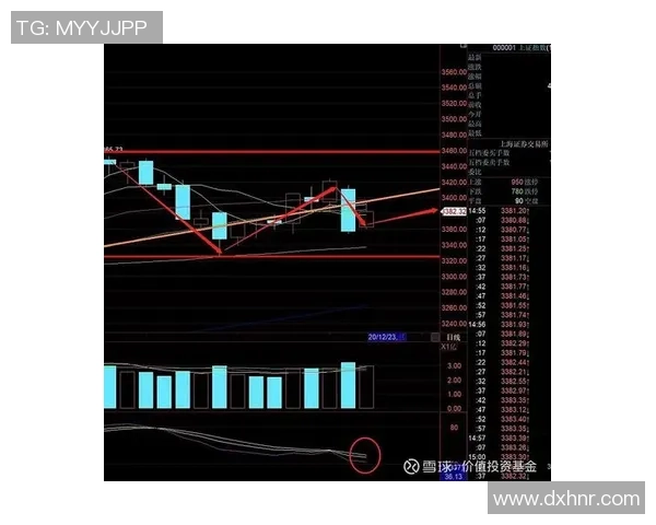 西安乒乓球队在冠军赛中的速度表现分析与点评