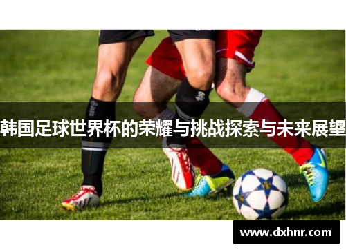 韩国足球世界杯的荣耀与挑战探索与未来展望
