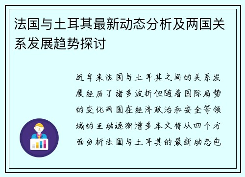 法国与土耳其最新动态分析及两国关系发展趋势探讨